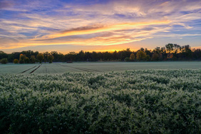 „Ging heut morgen über’s Feld / Tau noch auf den Gräsern hing.“ Der fahrende Geselle singt von Liebeslust und Liebesleid. FOTO: ANDREAS KRAPPWEIS